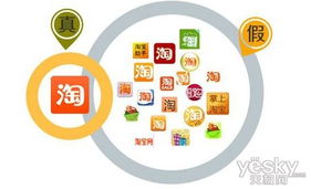 山寨App需防范，信息名址提供安全指引強化網絡與信息安全軟件開發